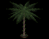 Green light palm tree