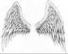 cut out wing