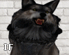 Wolf Pet Animated