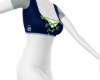 Seahawks Cheer