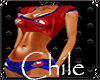 [DZ]Chile world cup