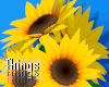 𝓉 (M) Sunflowers R