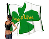 Irish Lucky Flag
