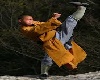 Shaolin Fight Single pos