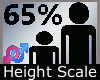 Height Scale 65% M