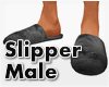 *Slipper Male