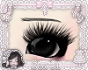 doll brows v2