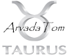 AT'S Taurus 2