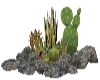 Cactus Garden 