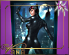 (VN) Catwoman Arkham