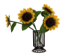 Sunflower and Vase