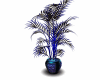 plant  island  blue