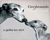 Greyhounds rug or wall