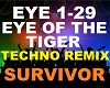 Survivor - Eye Of The