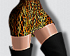 Leopard Skirt+Boots RLS