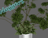 Leafy Planter