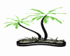 (SE)Palm tree Poses
