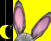 Grey Bunny Ears