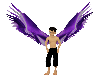 Eletric Purple Wings