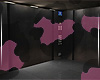 ElevatorX⋆˚࿔
