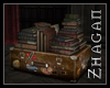 [Z]  Suitcase w. Books
