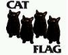 cat flag punk