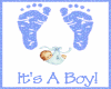 Baby It's A Boy Wall Pic