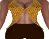 AC-Brown/Gold Outfit