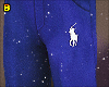 𝖇 Polo Blue 2/2