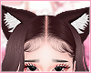 Cat ears mulberry