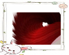 Puppytail Dark Red