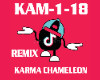 Remix Karma Chameleon