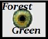 (JT) Forest green eyes