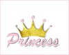 signs princess