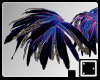 ♠ Midnight Feathers