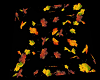 Anim Autumn Leaves Floor