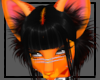 Fire T hair-2