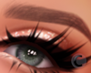 CK Brows Style 1 Blonde