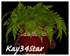 Christmas Pedestal Plant