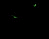 green doves