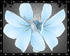 Tantalise Flower Blue