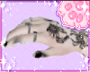 🐾Skrale Hands