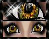 (x)Autumn eye