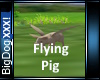 [BD]Flying Pig