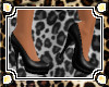 .J.O. Little Black Heels