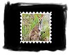 Stamp - Kangaroo