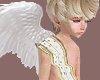 Cupid Wings / Boy