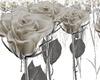 Kwen Ani White Roses