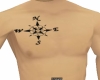 compass chest tat