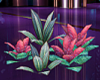 T- Tropical Plants